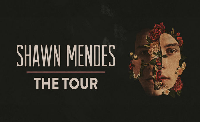 shawn mendes stadium tour